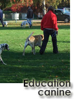 Pratiquer l'éducation canine avec le club canin ESCM